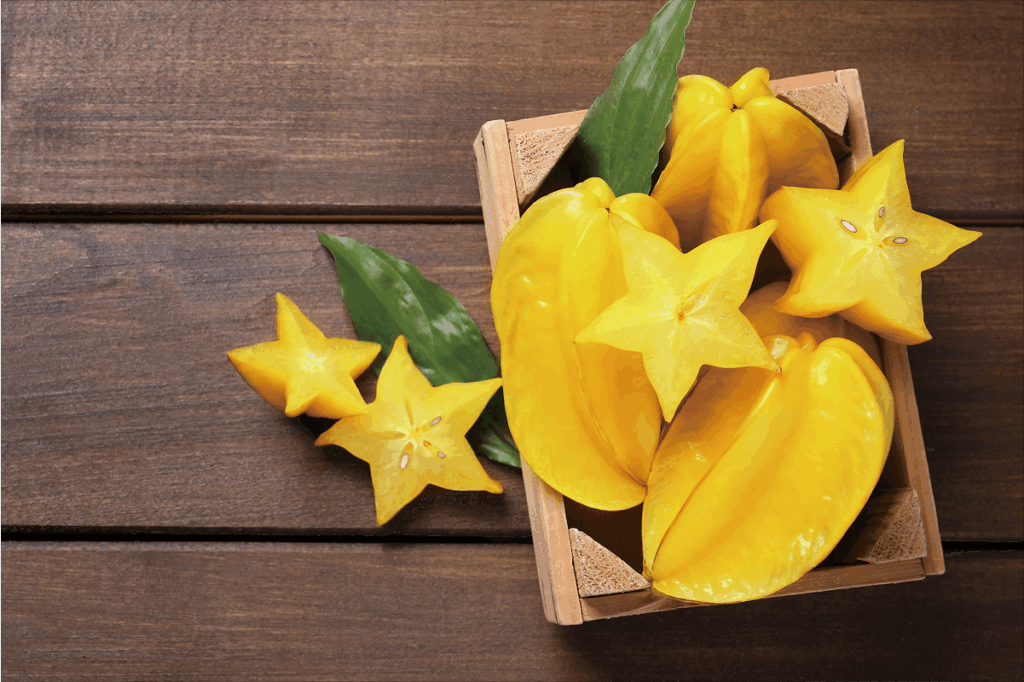 赤坂農場 MINORIA（ミノリア）